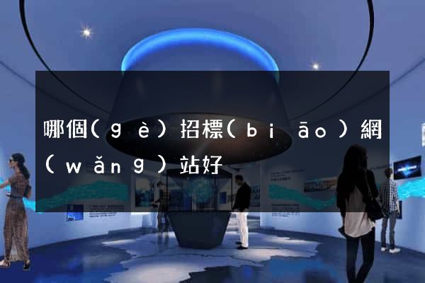 哪個(gè)招標(biāo)網(wǎng)站好