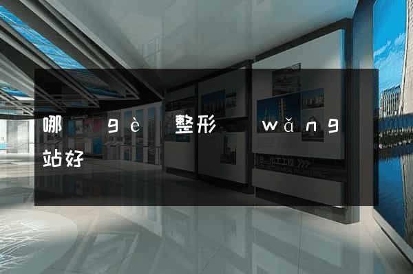 哪個(gè)整形網(wǎng)站好