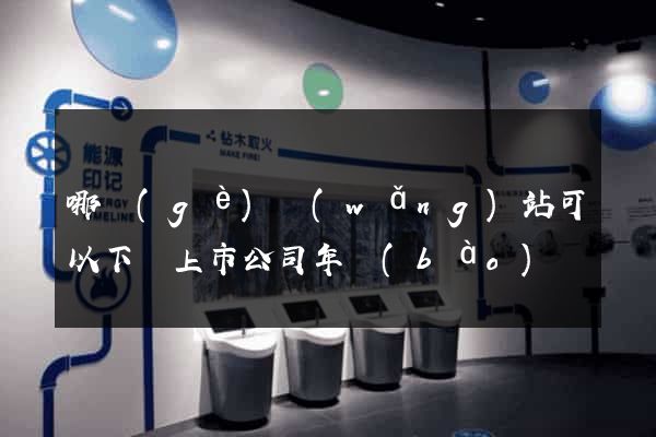 哪個(gè)網(wǎng)站可以下載上市公司年報(bào)