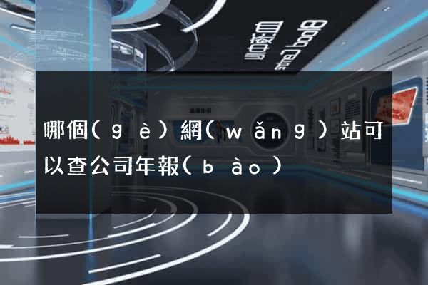 哪個(gè)網(wǎng)站可以查公司年報(bào)