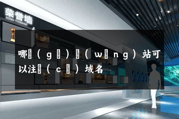 哪個(gè)網(wǎng)站可以注冊(cè)域名