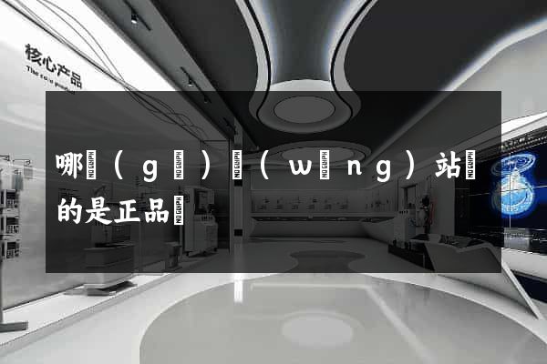 哪個(gè)網(wǎng)站賣的是正品貨