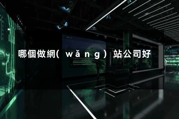 哪個做網(wǎng)站公司好
