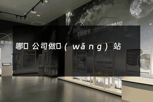 哪個公司做網(wǎng)站