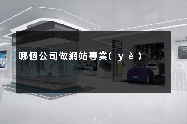 哪個公司做網站專業(yè)