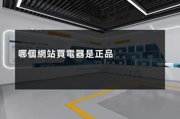 哪個網站買電器是正品