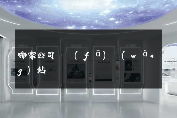 哪家公司開發(fā)網(wǎng)站