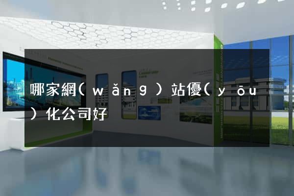 哪家網(wǎng)站優(yōu)化公司好