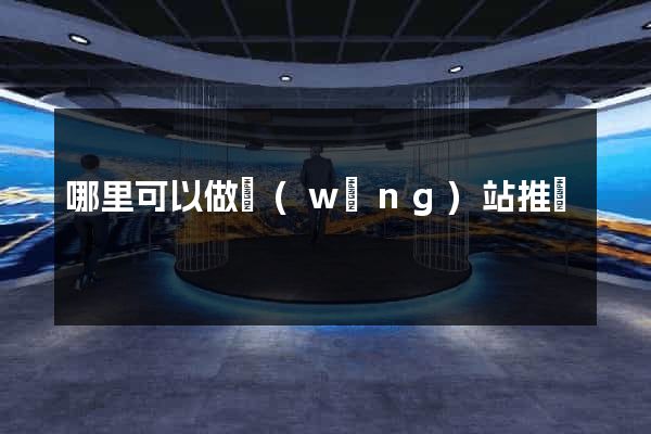 哪里可以做網(wǎng)站推廣