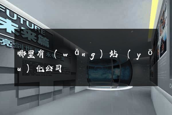 哪里有網(wǎng)站優(yōu)化公司