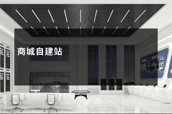 商城自建站