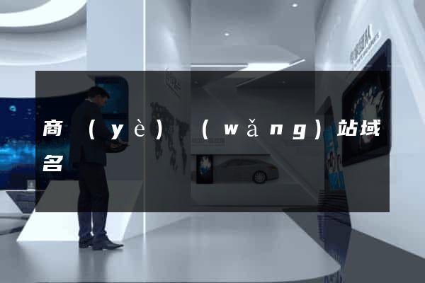 商業(yè)網(wǎng)站域名