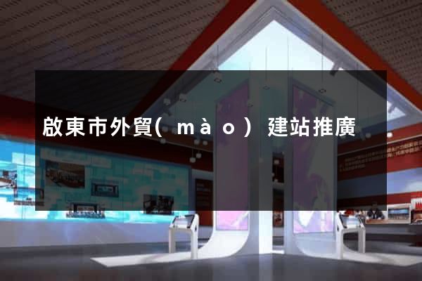 啟東市外貿(mào)建站推廣