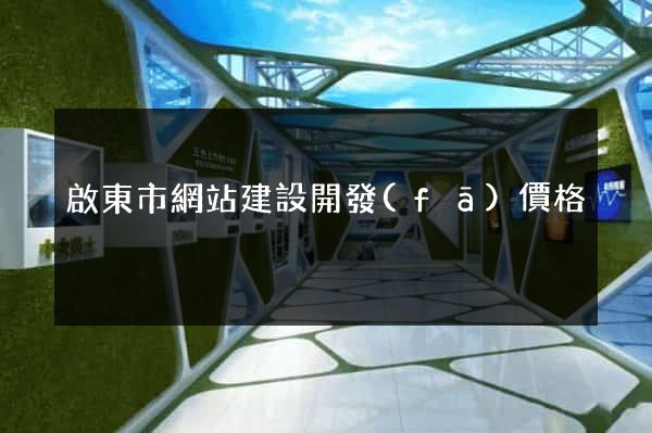 啟東市網站建設開發(fā)價格