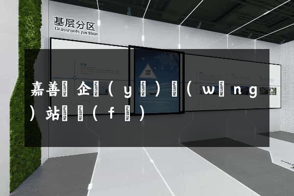 嘉善縣企業(yè)網(wǎng)站開發(fā)