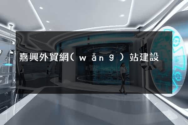 嘉興外貿網(wǎng)站建設