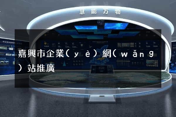 嘉興市企業(yè)網(wǎng)站推廣
