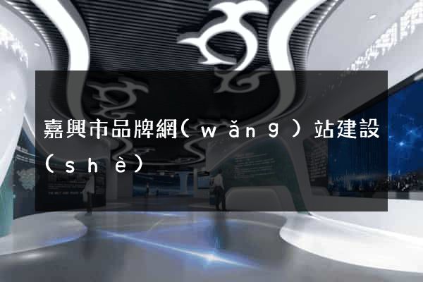 嘉興市品牌網(wǎng)站建設(shè)