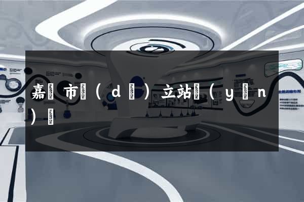 嘉興市獨(dú)立站運(yùn)營