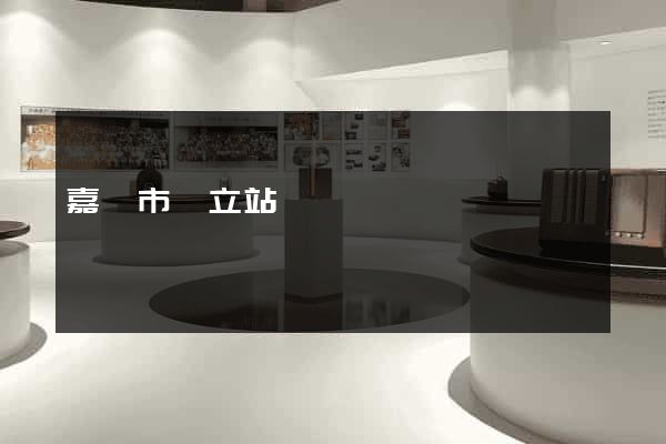 嘉興市獨立站運營