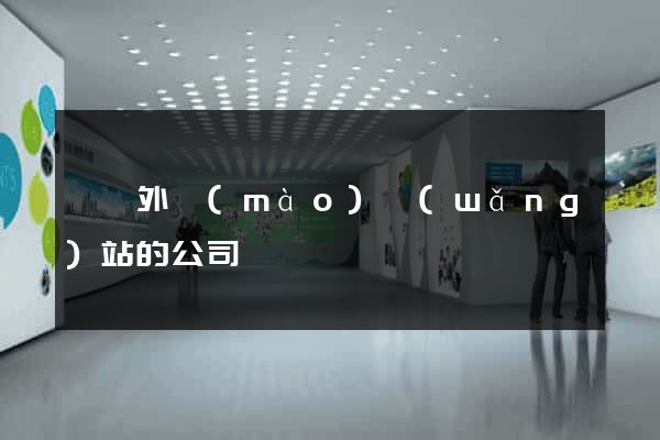 國際外貿(mào)網(wǎng)站的公司