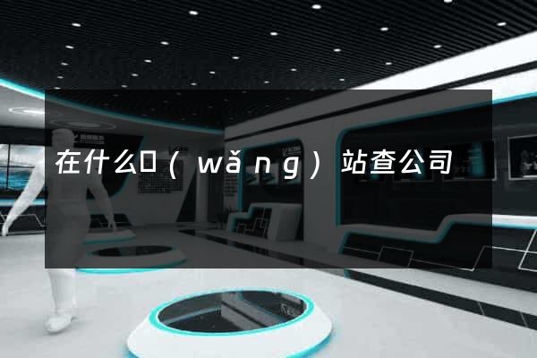在什么網(wǎng)站查公司