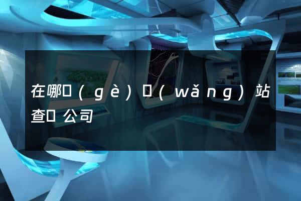 在哪個(gè)網(wǎng)站查詢公司