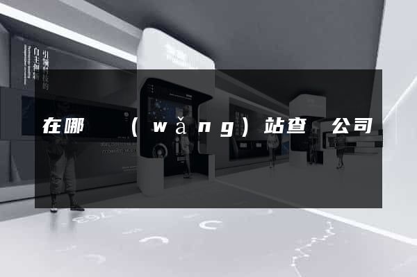 在哪個網(wǎng)站查詢公司