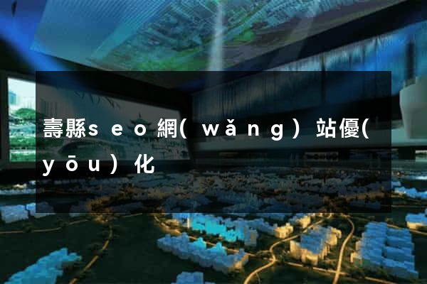 壽縣seo網(wǎng)站優(yōu)化