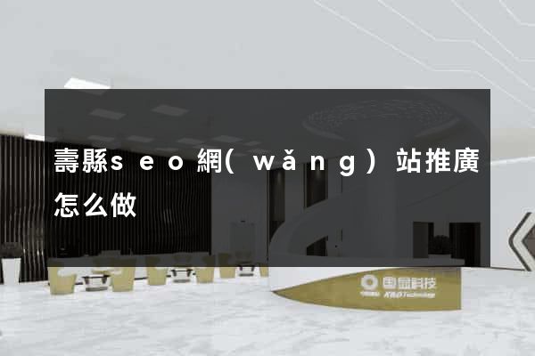 壽縣seo網(wǎng)站推廣怎么做
