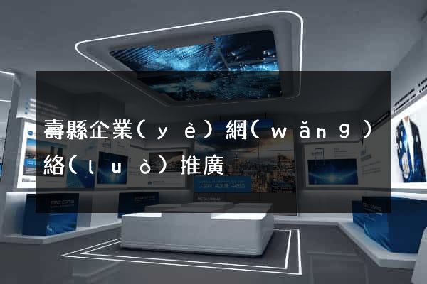 壽縣企業(yè)網(wǎng)絡(luò)推廣