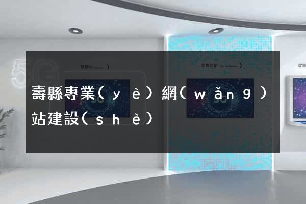 壽縣專業(yè)網(wǎng)站建設(shè)