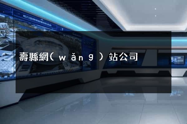 壽縣網(wǎng)站公司