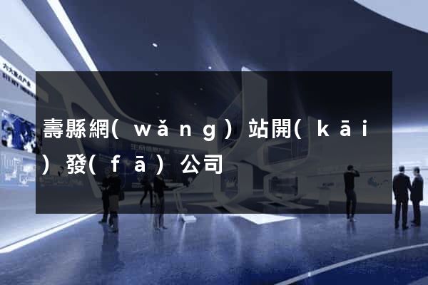 壽縣網(wǎng)站開(kāi)發(fā)公司