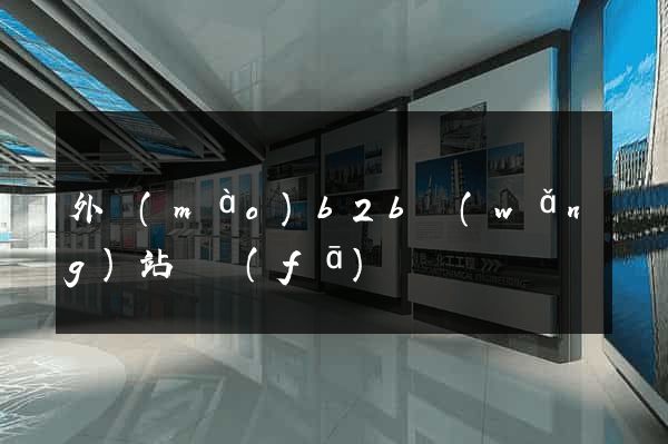 外貿(mào)b2b網(wǎng)站開發(fā)