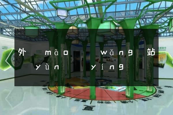 外貿(mào)網(wǎng)站運(yùn)營(yíng)