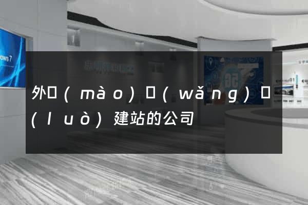 外貿(mào)網(wǎng)絡(luò)建站的公司