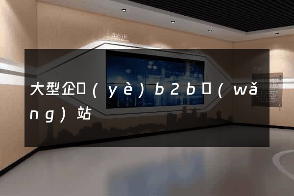 大型企業(yè)b2b網(wǎng)站