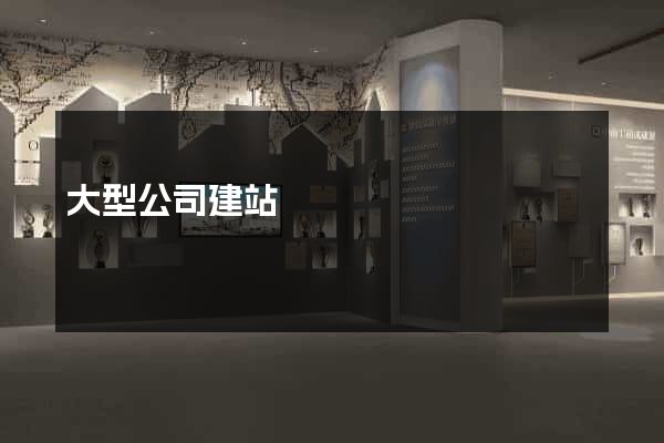 大型公司建站