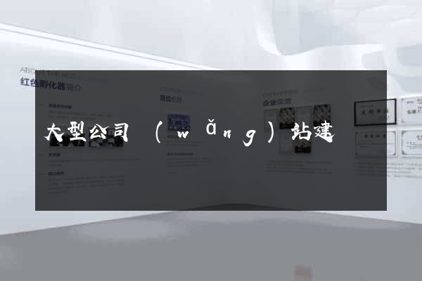 大型公司網(wǎng)站建設