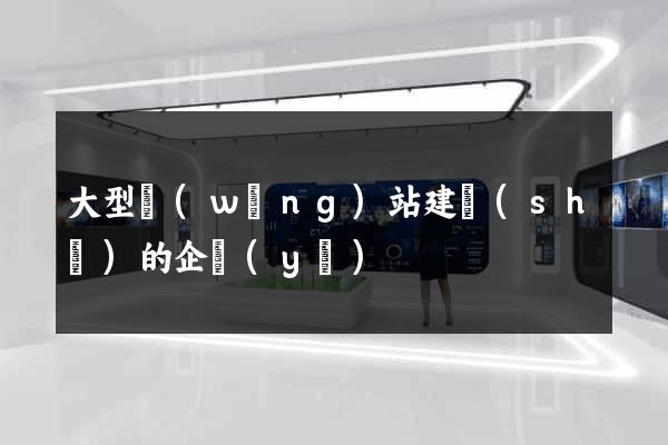 大型網(wǎng)站建設(shè)的企業(yè)