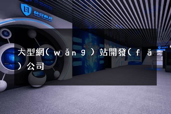 大型網(wǎng)站開發(fā)公司