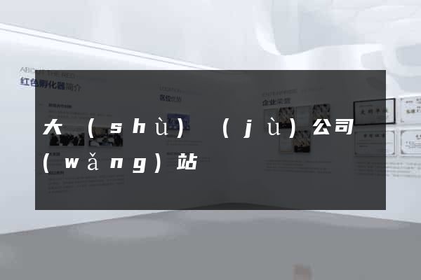 大數(shù)據(jù)公司網(wǎng)站