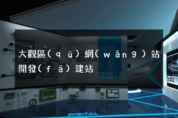 大觀區(qū)網(wǎng)站開發(fā)建站