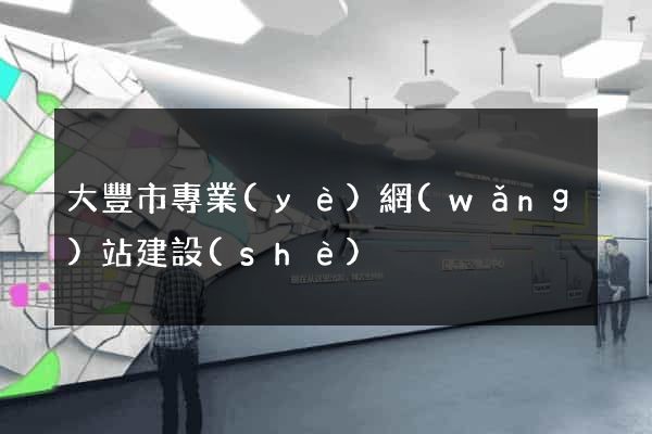 大豐市專業(yè)網(wǎng)站建設(shè)