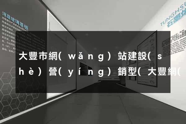 大豐市網(wǎng)站建設(shè)營(yíng)銷型(大豐網(wǎng)站建設(shè)公司)
