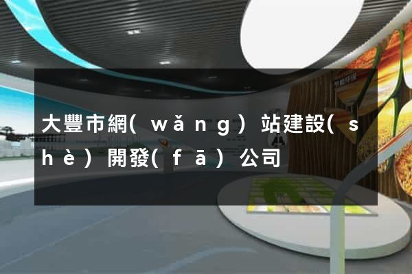 大豐市網(wǎng)站建設(shè)開發(fā)公司