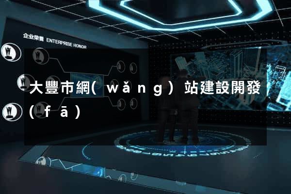 大豐市網(wǎng)站建設開發(fā)