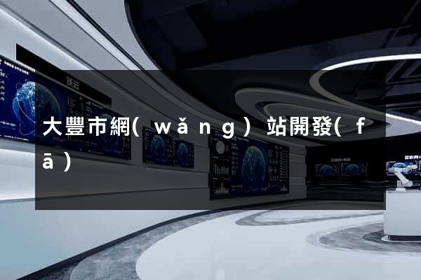 大豐市網(wǎng)站開發(fā)