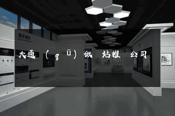 大通區(qū)做網站推廣公司